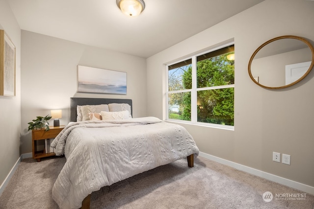 bedroom with carpet flooring