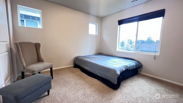 bedroom featuring carpet