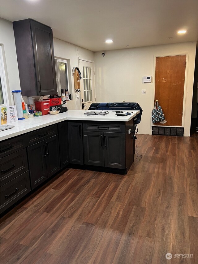 kitchen featuring kitchen peninsula, dark hardwood / wood-style flooring, and sink