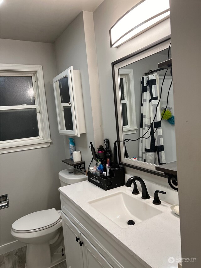 bathroom featuring hardwood / wood-style floors, vanity, and toilet