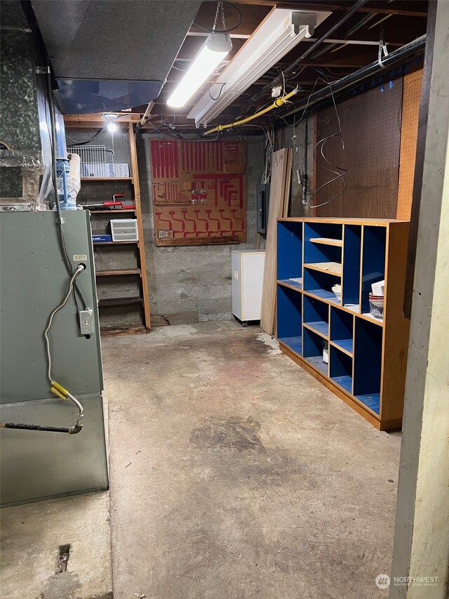 basement featuring electric panel