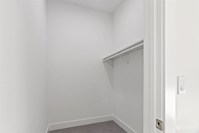 walk in closet with carpet