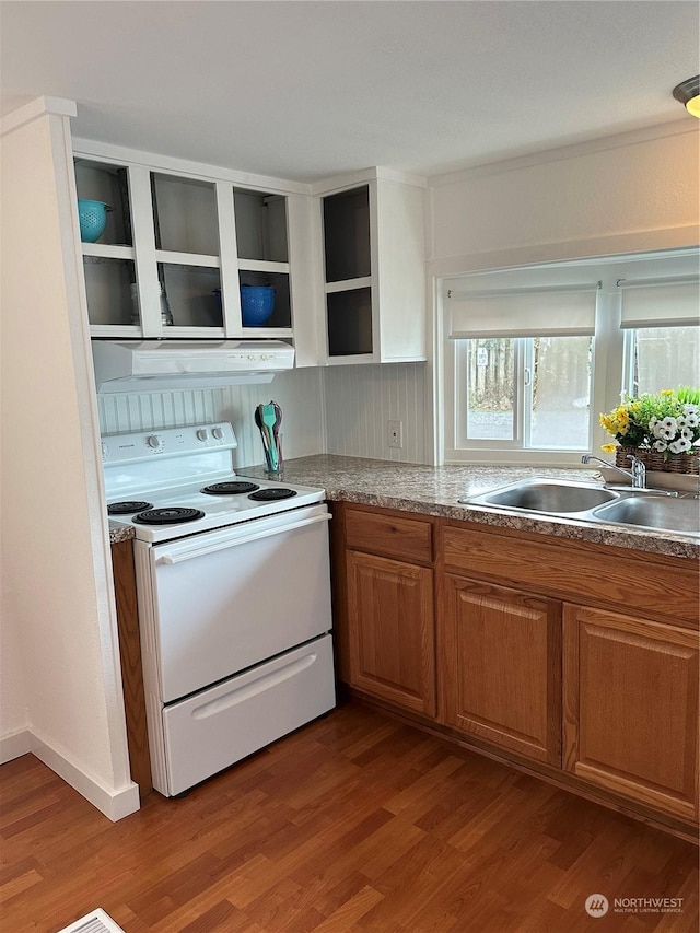 kitchen featuring electric stove, hardwood / wood-style floors, extractor fan, and sink