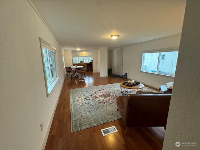 living room with crown molding, dark hardwood / wood-style flooring, and a healthy amount of sunlight