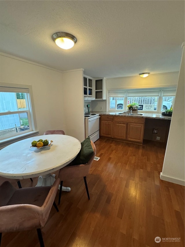 dining area with hardwood / wood-style floors, a textured ceiling, and sink