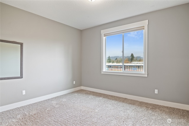 empty room featuring carpet flooring and a textured ceiling