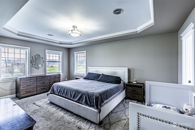 carpeted bedroom with a raised ceiling and ornamental molding