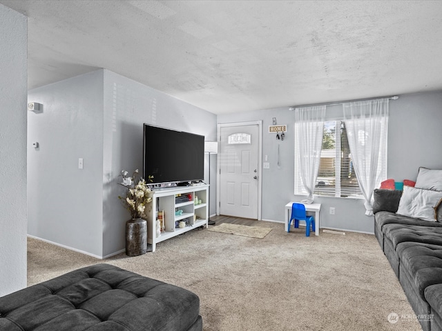 living room with carpet and a textured ceiling