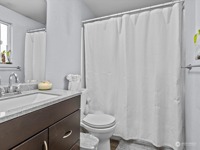 bathroom with toilet and vanity