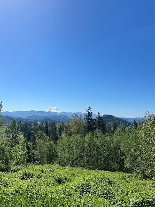 27435 402nd St SE, Enumclaw WA, 98022 land for sale