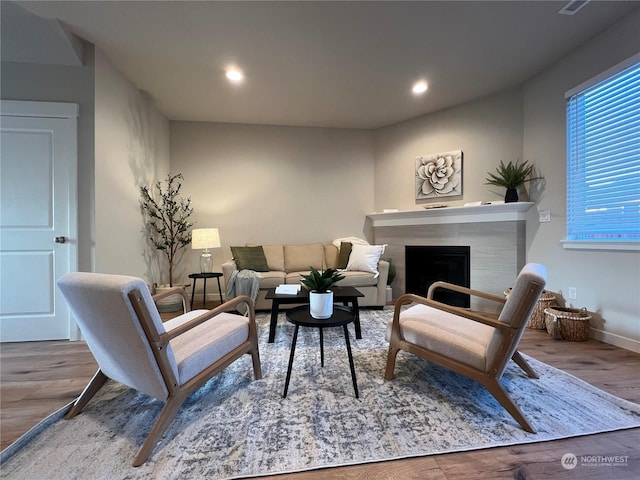 living room with wood-type flooring