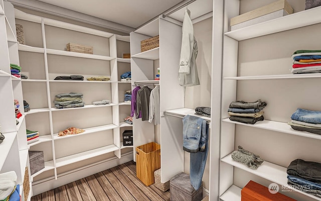 walk in closet with wood-type flooring