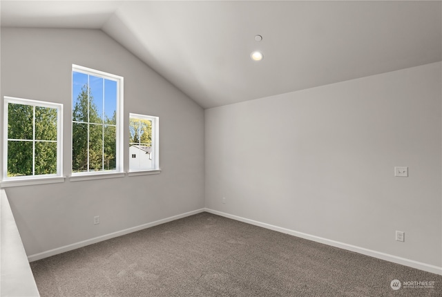 interior space with carpet flooring and vaulted ceiling