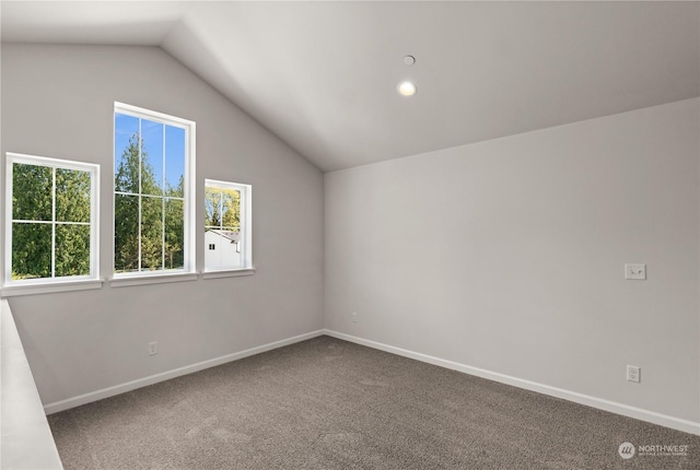 18619 11th Avenue Ct E, Spanaway, WA 98387 - bonus room with lofted ceiling, carpet flooring, and baseboards