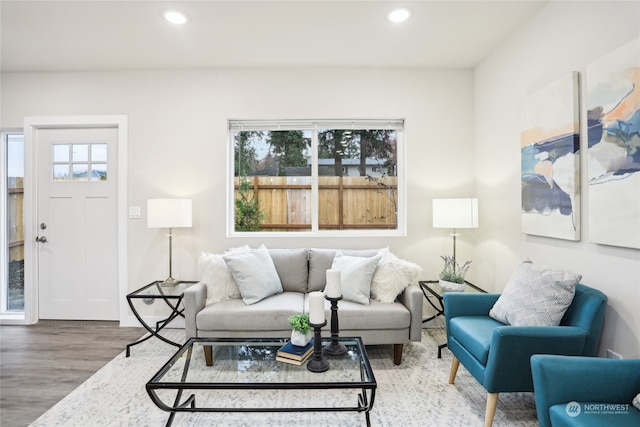 living room featuring hardwood / wood-style floors