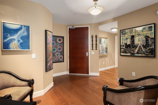 entrance foyer featuring hardwood / wood-style flooring