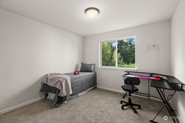 bedroom featuring light carpet