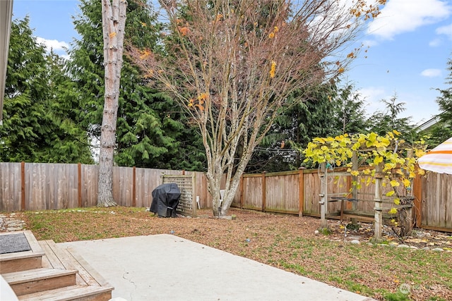 view of yard with a patio