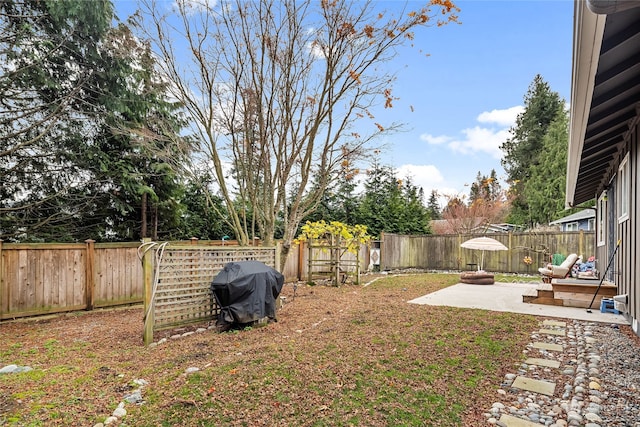 view of yard featuring a patio area