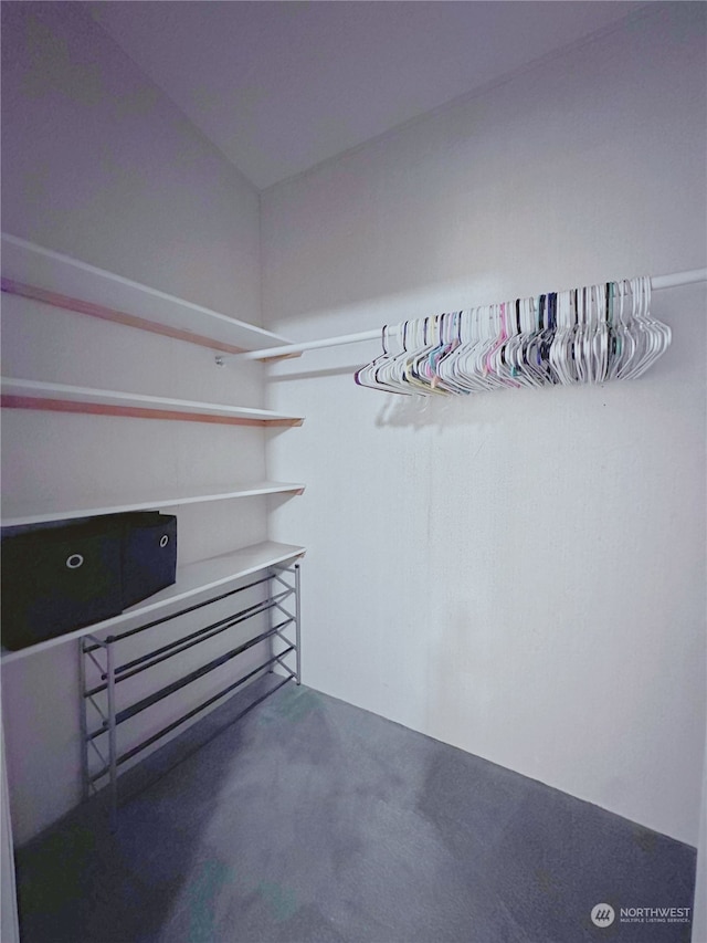 spacious closet featuring carpet