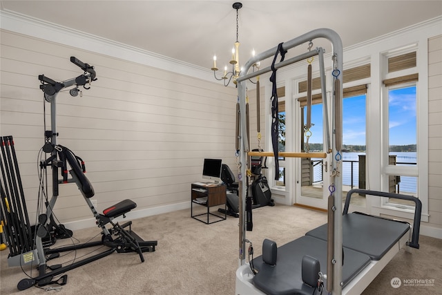 workout room with crown molding and light colored carpet