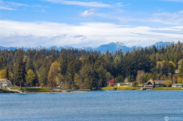 view of water feature with a mountain view