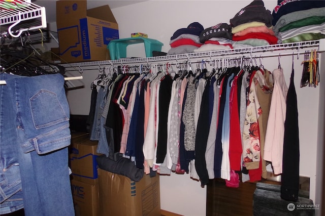 walk in closet featuring hardwood / wood-style floors