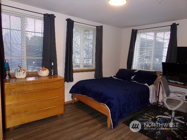 bedroom featuring multiple windows and dark hardwood / wood-style flooring