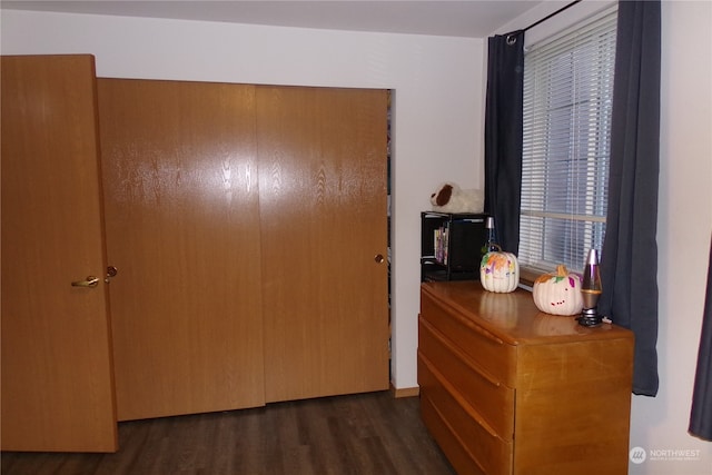 interior space with dark hardwood / wood-style flooring