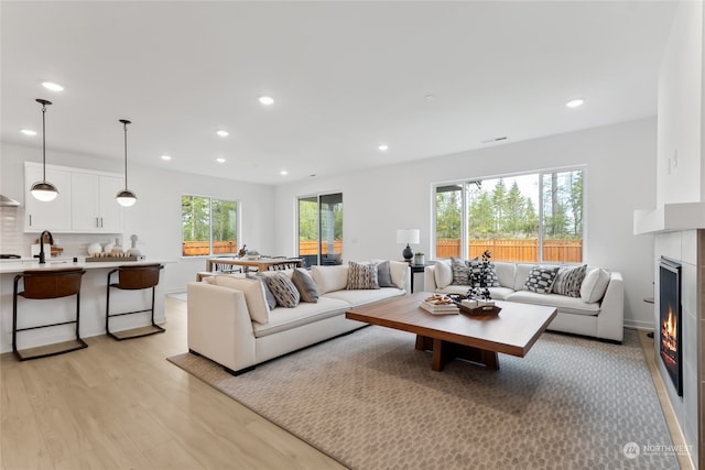 living room with a fireplace, light wood-type flooring, and a healthy amount of sunlight