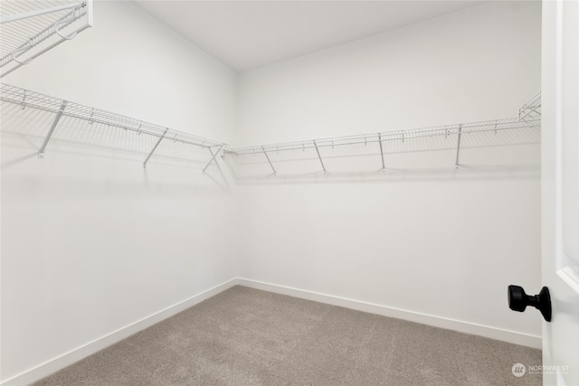 walk in closet with carpet