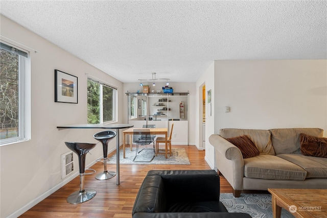 living room with hardwood / wood-style floors and a textured ceiling