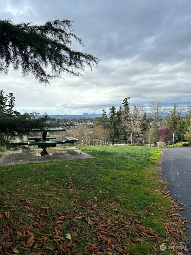 view of yard with a mountain view