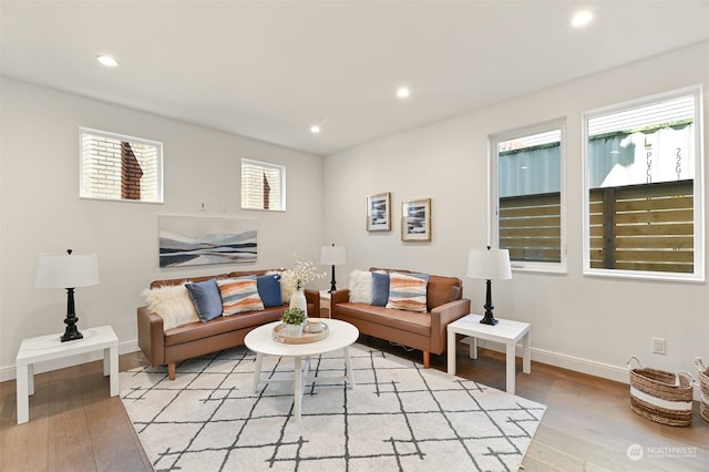 living room with light hardwood / wood-style floors