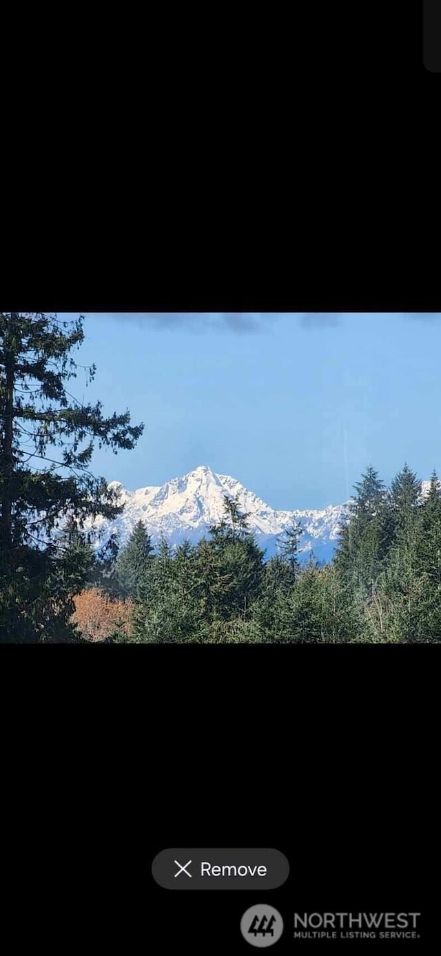 6398 Juanita Cir NE, Bremerton, WA 98311 - view of mountain feature