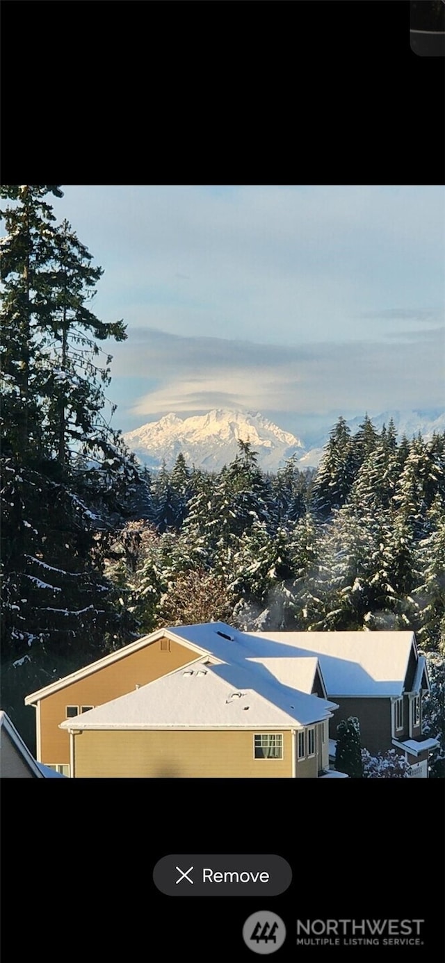6398 Juanita Cir NE, Bremerton, WA 98311 - mountain view