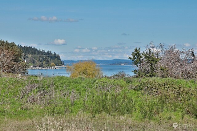 5493 Woodard Ave, Freeland, WA 98249 - photo 3