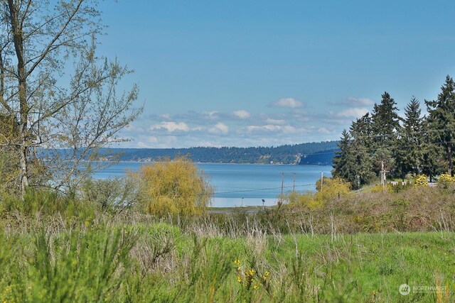 5493 Woodard Ave, Freeland, WA 98249 - photo 4