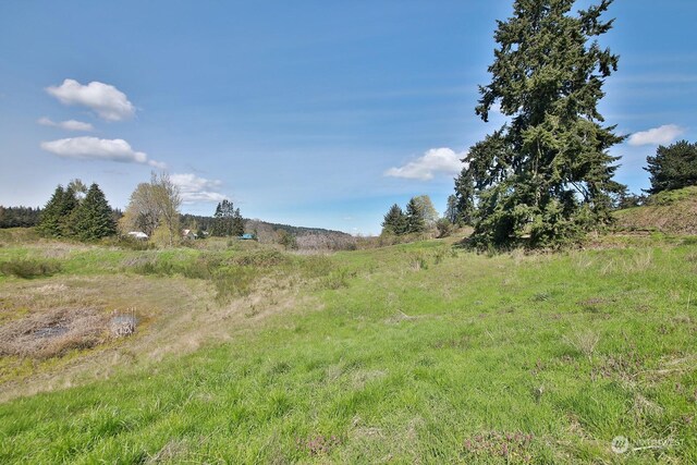 5493 Woodard Ave, Freeland, WA 98249 - photo 5