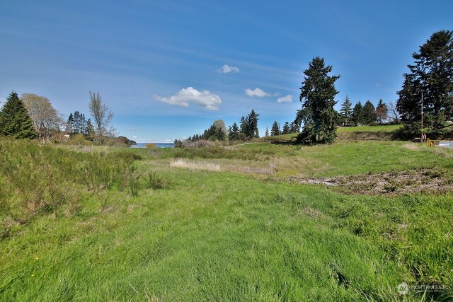 5493 Woodard Ave, Freeland, WA 98249 - photo 6