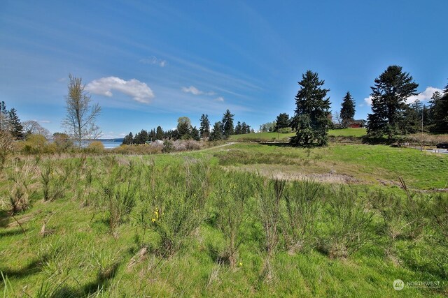 5493 Woodard Ave, Freeland, WA 98249 - photo 7
