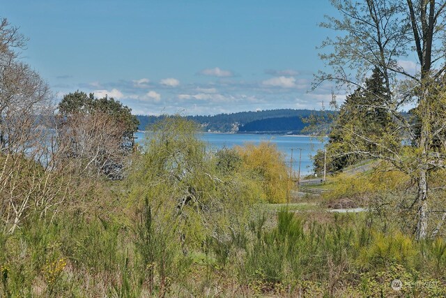 5493 Woodard Ave, Freeland, WA 98249 - photo 8