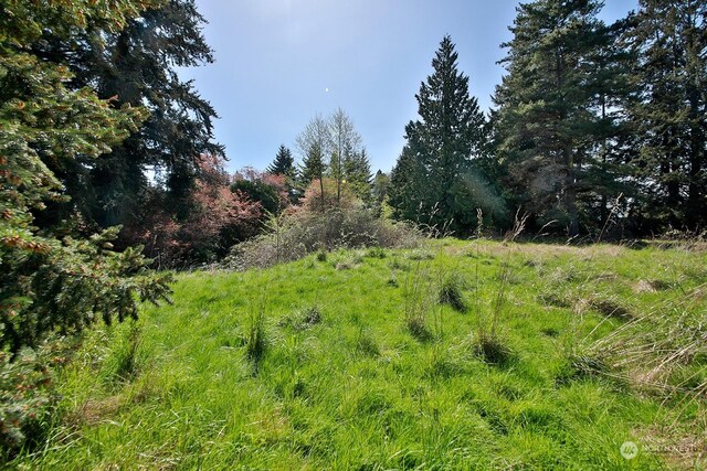 5493 Woodard Ave, Freeland, WA 98249 - photo 9