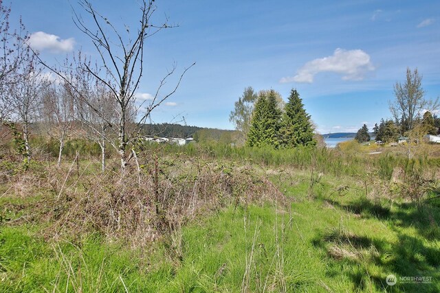 5493 Woodard Ave, Freeland, WA 98249 - photo 10