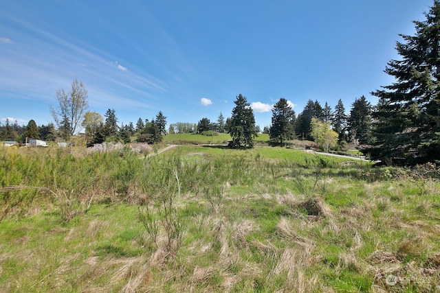 5493 Woodard Ave, Freeland, WA 98249 - photo 11