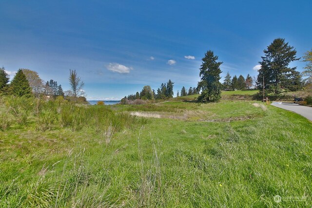 5493 Woodard Ave, Freeland, WA 98249 - photo 13