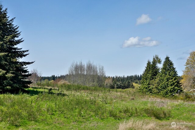 5493 Woodard Ave, Freeland, WA 98249 - photo 14