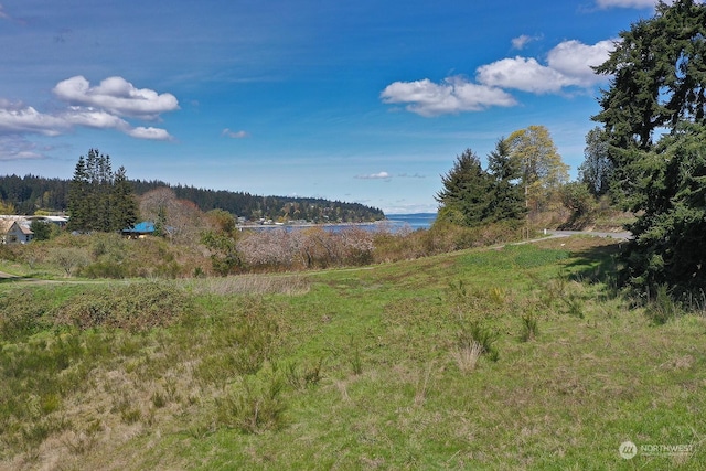 5493 Woodard Ave, Freeland, WA 98249 - photo 15