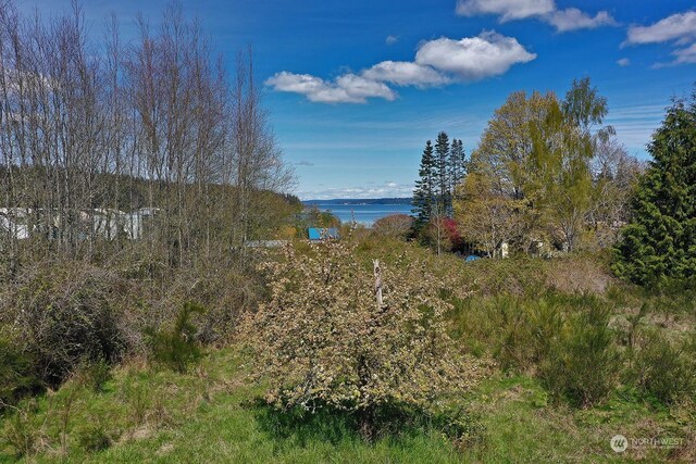 5493 Woodard Ave, Freeland, WA 98249 - photo 17