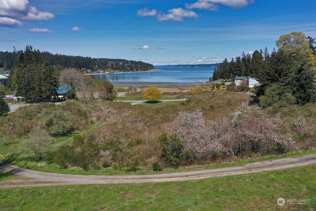 5493 Woodard Ave, Freeland, WA 98249 - photo 21